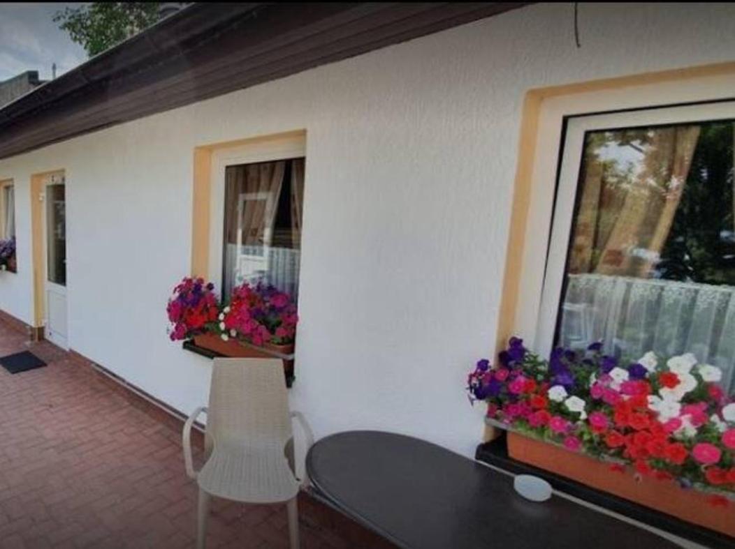 Schoene Geraeumige Ferienwohnung Am Park هيرينجسدورف المظهر الخارجي الصورة